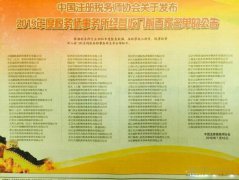 2015年度中国税务师事务所